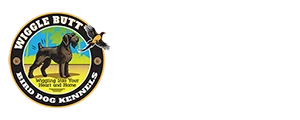 Wiggle Butt Bird Dog Kennels